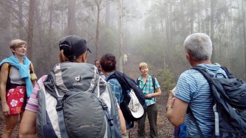 Ella: Pekoe Trail Stage 15 Trekking From Makulela to Ella - Highlights and Experience