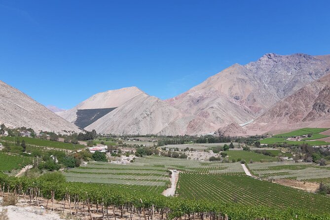 Elqui Valley Full Day Tour: Magical Towns, Pisco and Mountains - Booking Details