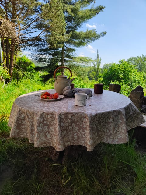 Enjoy Your Day in Bohemian Paradise - Yoga in the Forest