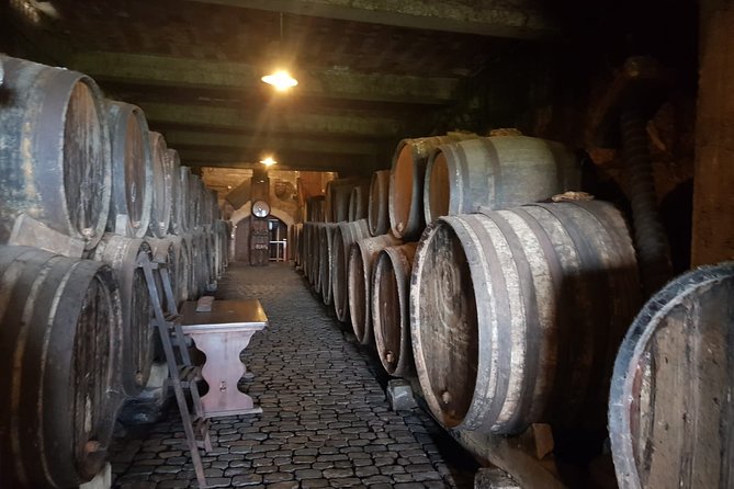 Enogastronomic Tour- 4 Hours in Tenerife - Pickup and Meeting Details