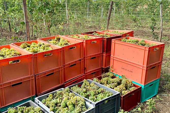 Epicurean Discovery Tour With Wine & Local Specialties - Booking Information