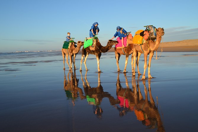 Essaouira 2-Hour Camel Adventure Ride - Accessibility Information