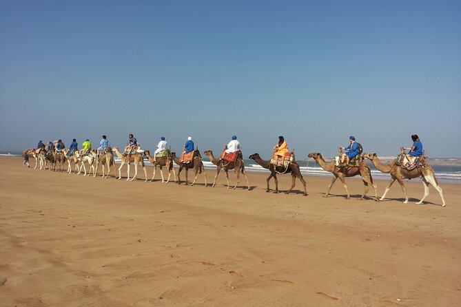 Essaouira: 2h/ Quad + 2h/ Dromedary Free Transfer - Health and Safety Considerations