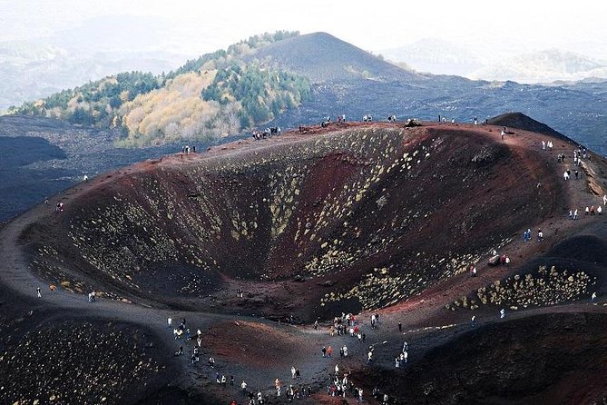 Etna Private Tour From Messina Cruise Terminal + Lunch at Winery - Pickup and Transport
