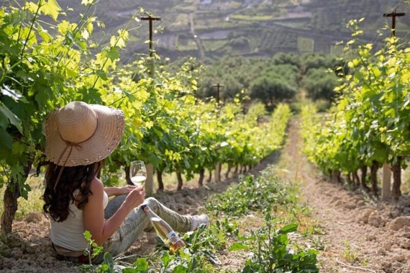 EUPHORIA Wine Tour & Tasting at Douloufakis Vineyards - Experience Highlights