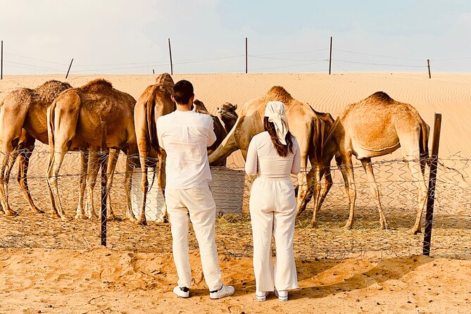 Evening Desert Safari Abu Dhabi With BBQ Dinner & Shows - Health and Safety Considerations