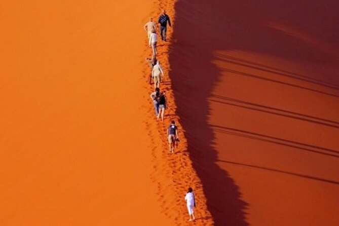 Evening Desert Safari With Belly Dance and BBQ Dinner and Camel Ride - Culinary Delights and BBQ Dinner