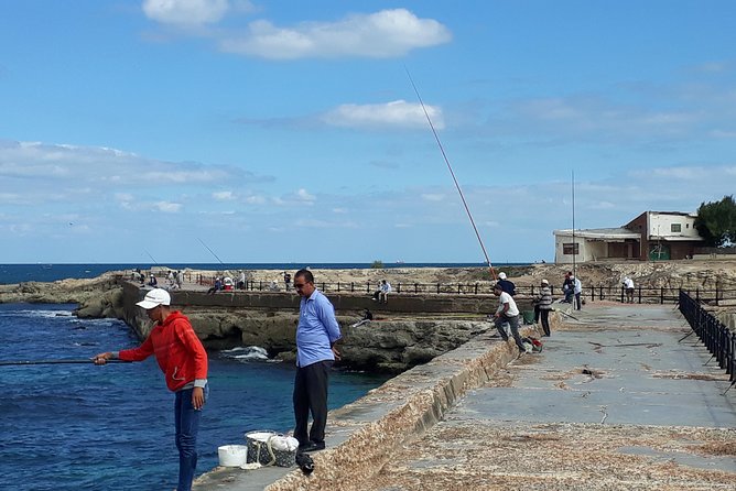 Exceptional Alexandria Tour From Cairo + Alexandria Food Tour - Meeting and Pickup Details