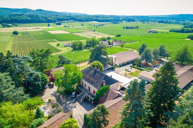 Exceptional Visit and Tasting of 7 Wines - Start Time