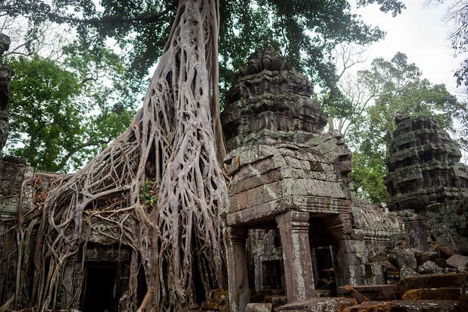 Exclusive ANGKOR Archaeological Sunrise Tour - Transportation and Logistics
