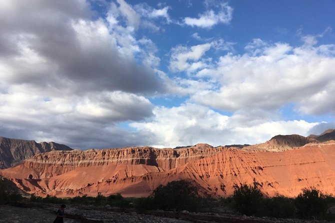 Exclusive Day-Long Private Tour of Cafayate Vineyards - Wine Tasting at Three Vineyards