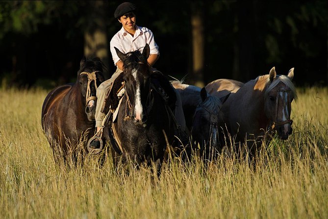 Exclusive Farm Day at Estancia La Bandada, Including Traditional Argentine Barbecue, Horseback Riding and Gaucho'S Show - Transportation and Meeting Details