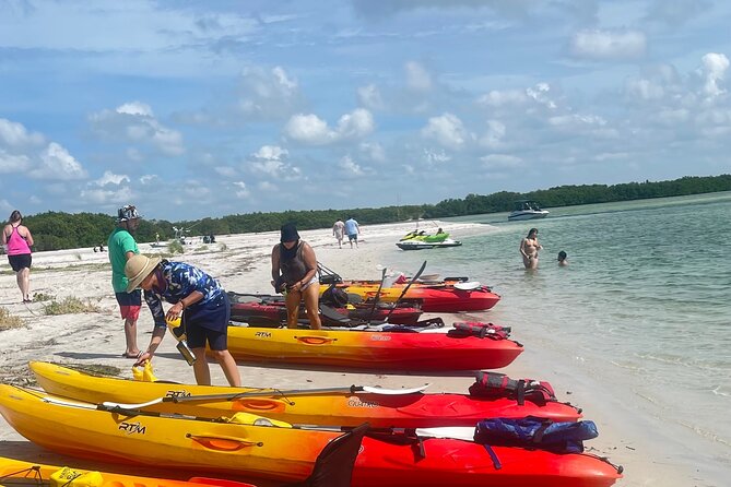 Exclusive Kayak Expedition: Exploring the Mangroves to Shell Key - Wildlife Encounters Along the Way