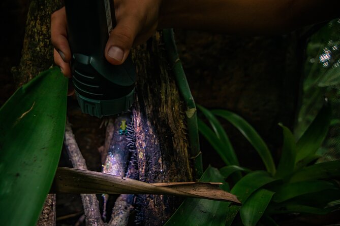 Exclusive Night Walk in La Fortuna and Natural Frog Garden . - Meeting and Pickup