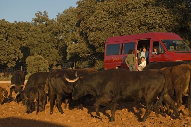 Exclusive Visit With the 5 Senses - Animal Welfare Commitment