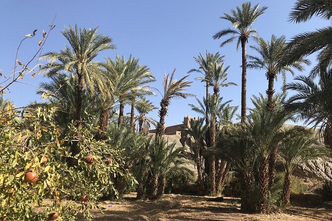 Excursion From Ouarzazate to Vallee Du Draa, Zagora and Dunes De Tinfou - Inclusions and Amenities