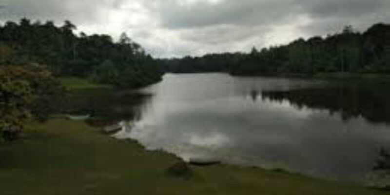 Exploration of Hiyare Forest Through a Nature-Guided Trek - Transportation Information