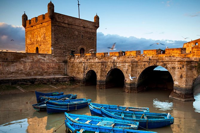 Explore Essaouira on a Day Trip From Marrakech - Customer Feedback and Reviews