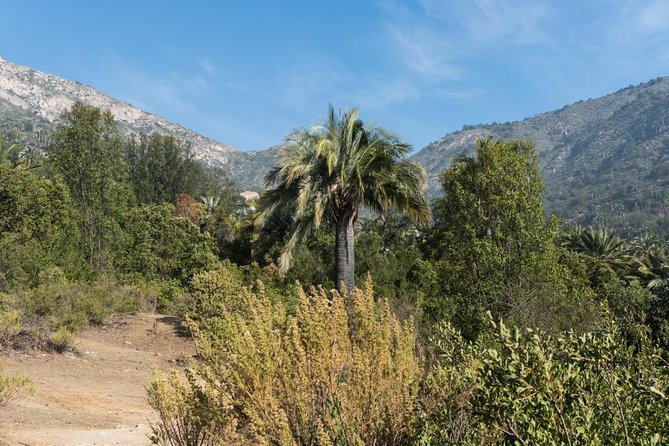 Explore the Coastal Mountains - Private Day Trip From Santiago - Convenient Pickup and Drop-off Options
