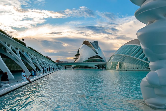 Explore Valencia'S Art and Culture With a Local - Tour Highlights