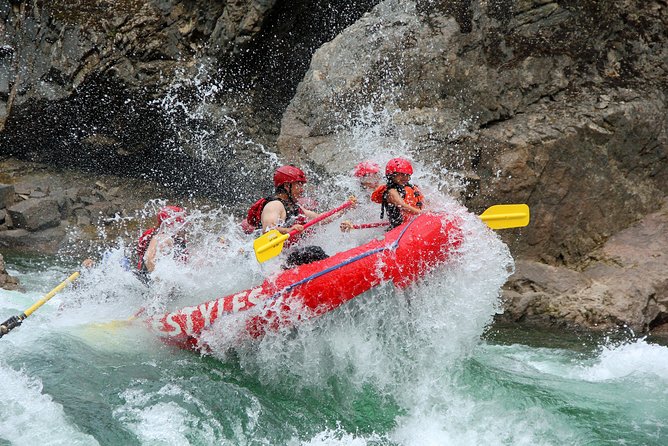 Family Friendly Whitewater Rafting - Scenic Views and Wildlife