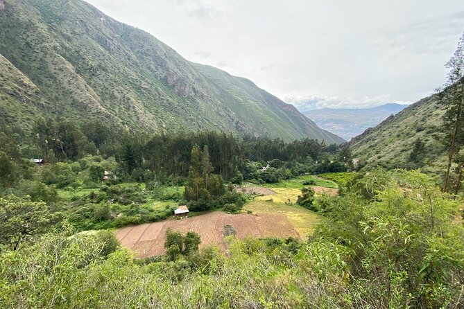 Family Trek With Llamas (Full Day) - Requirements and Recommendations