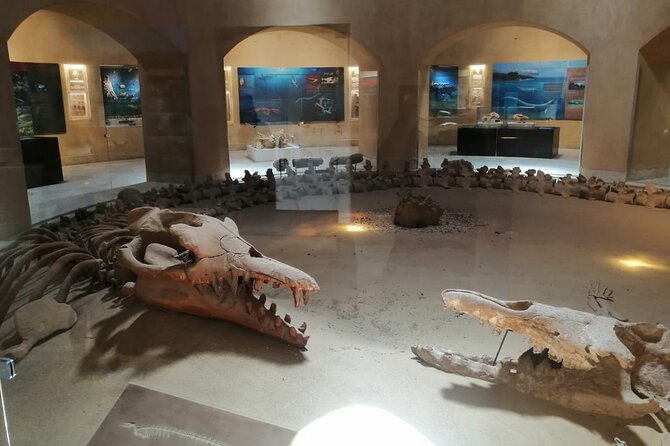 Fayoum Adventure: Whales Valley,4x4 Desert Safari & Wadi Rayan - Valley of the Whales