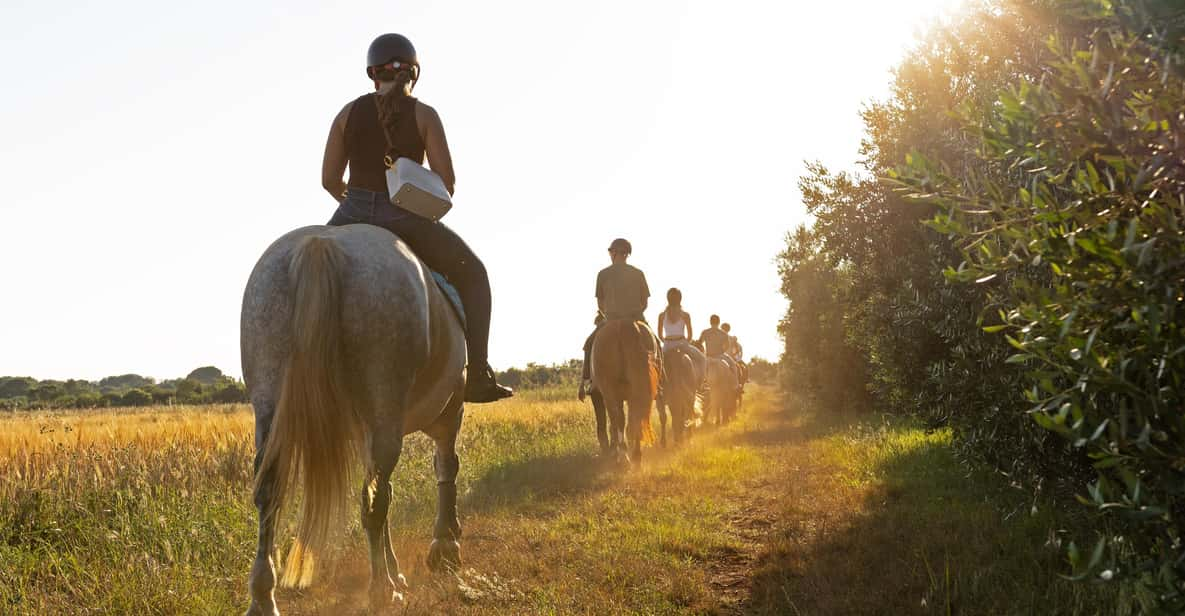 Fazana: Sunset 1-Hour Horse Riding in Nature With Guide - Safety and Suitability