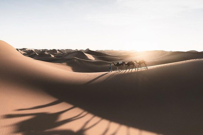 Fes To Marrakech: 3-Day Desert Tour - Day 2 Highlights