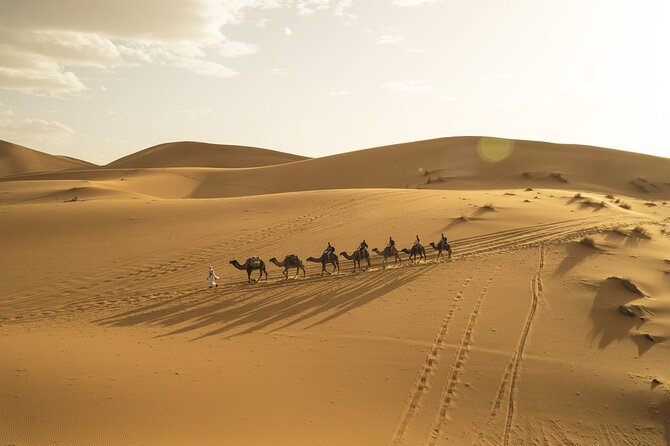 Fes to Marrakech 3 Days Desert Tour - Accessibility and Participation