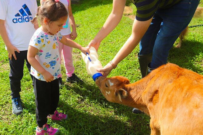 Finca El Paraiso Farm Cheese Tour in Monteverde - Pricing and Booking Details