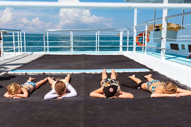 Flamingo Family Fun Catamaran Snorkel:Comfortable Shaded Seating - Knowledgeable Bilingual Guides