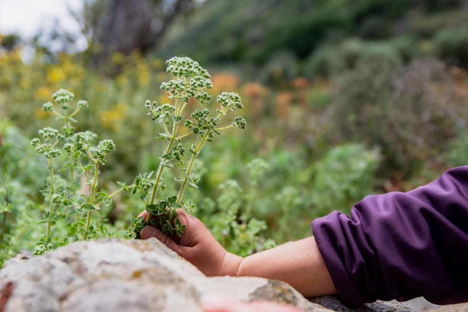 Follow the Riverside Hiking Tour (Private Experience) - Booking and Cancellation