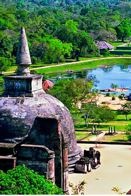 Fom Negombo: Sigiriya Rock & Ancient City of Polonnaruwa - Tour Inclusions