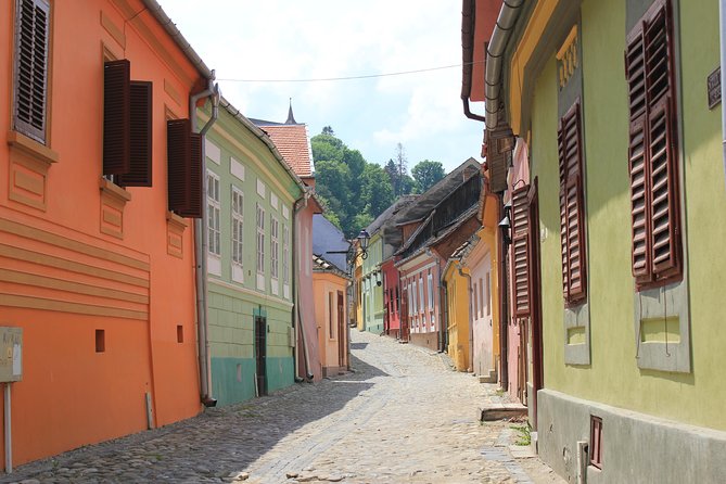 Fortified Church of Viscri and Sighisoara in Spanish (Native Spanish Guide). - Languages and Tour Guide