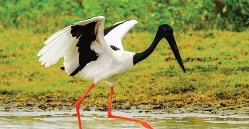 Four-Day Luxury Camping and Photography Expedition - Accommodation and Amenities