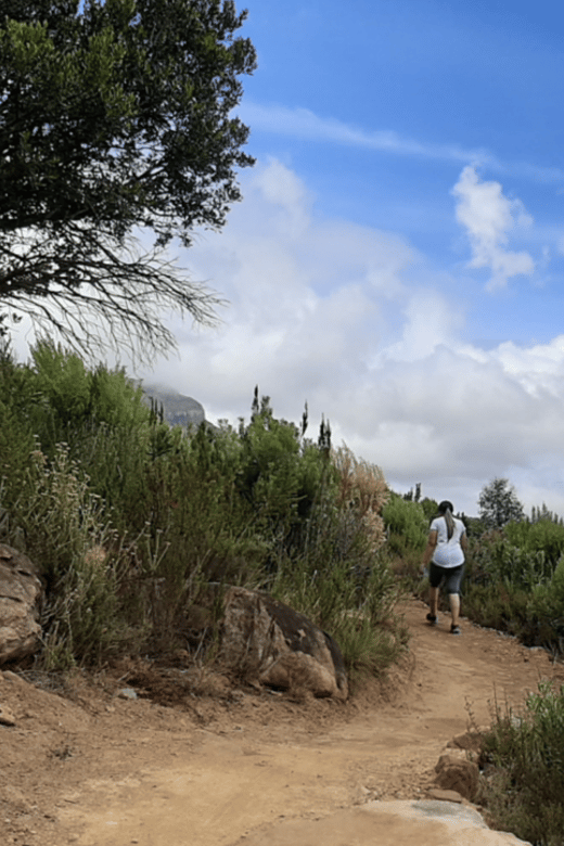 Franschhoek: Half Day Guided Nature Hike and Wine Tasting - Wildlife and Botanical Highlights