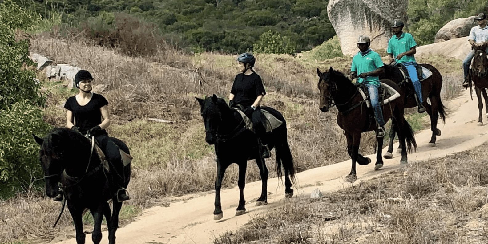 Franschhoek: Half Day Horse Trail and Wine Tasting - Highlights of the Experience