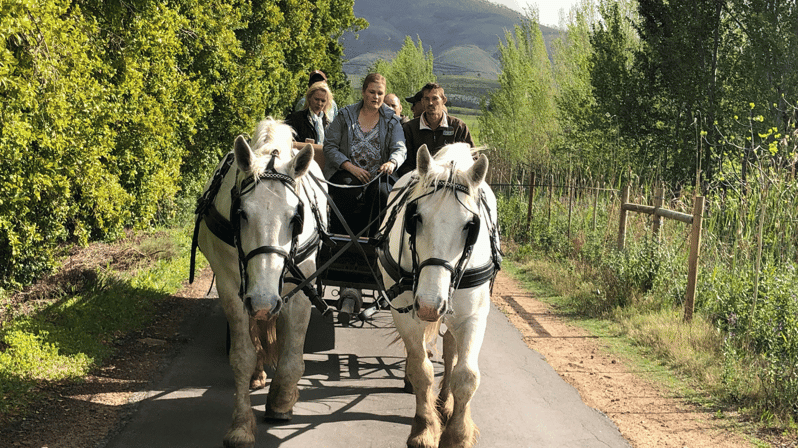 Franschhoek: Vrede En Lust Wine Estate 1H Carriage Ride - Accessibility and Restrictions