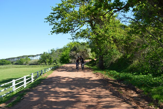 Franschhoek Winelands Meander © - Booking Information