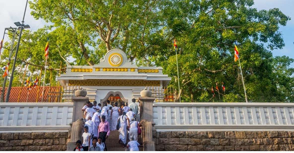 From Anuradhapura: Ancient City of Anuradhapura by Tuk-Tuk - Historical Significance