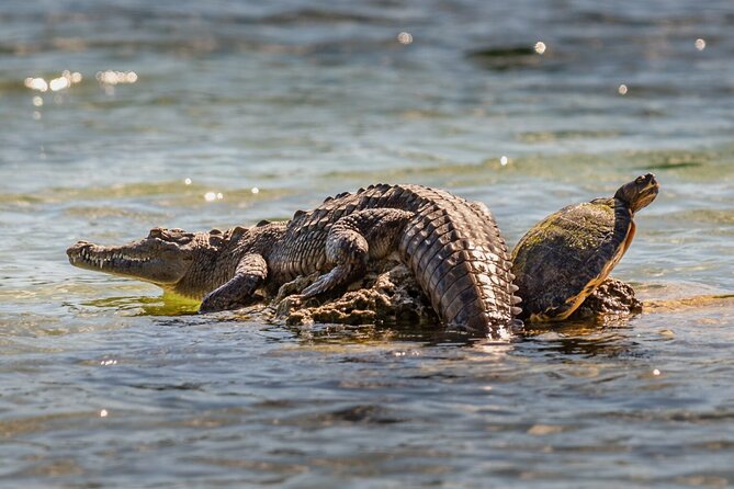 From Atlantic to Pacific Ocean Private Panama Canal & Jungle Tour - Memorable Highlights