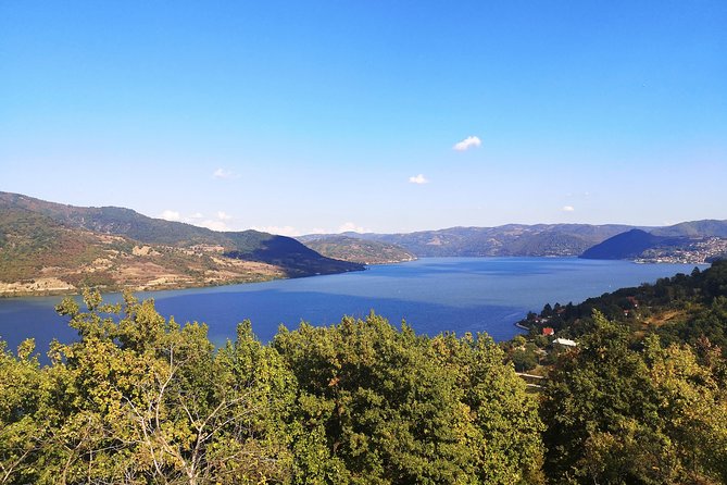 From Belgrade: Full-Day Historical Danube Tour - Tour Guide Services