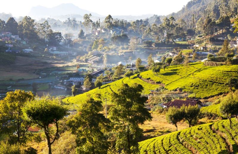 From Bentota: 2-Day Hill Country Tour - Inclusions