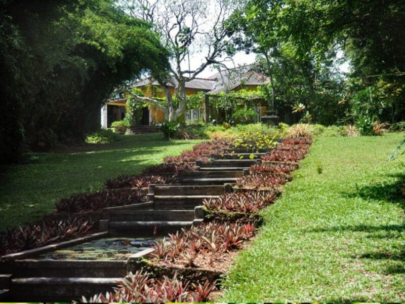 From Bentota/Beruwala: Lunuganga & Brief Garden Marvels Tour - Highlights