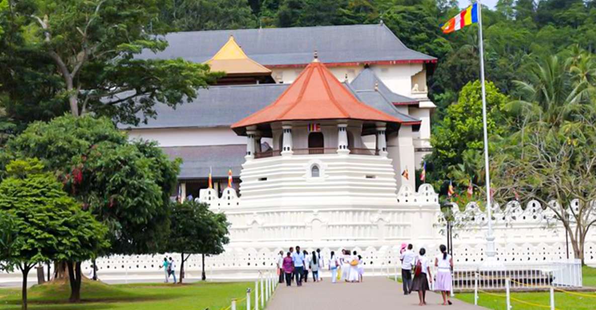 From Bentota or Beruwela: Private Day Tour to Kandy - Pricing and Cancellation