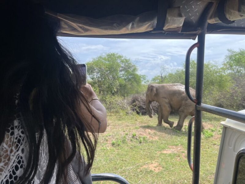 From Bentota: Udawalawa National Park Wildlife Safari - Wildlife and Park Significance