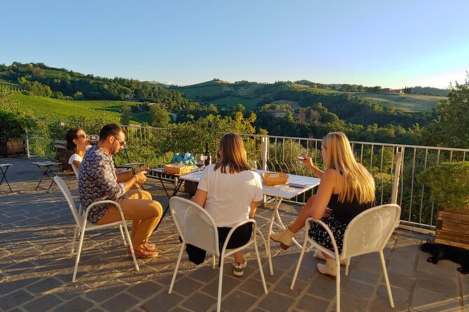 From Bologna: Wine Tasting and Vineyard Tour With the Winemaker - Meeting Point and Logistics