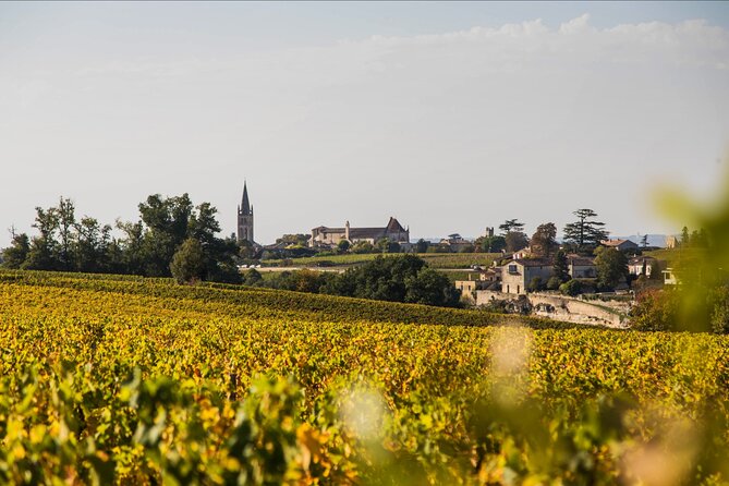 From Bordeaux: Saint-Émilion Half-Day Trip With Wine Tasting - Tour Experience and Reviews