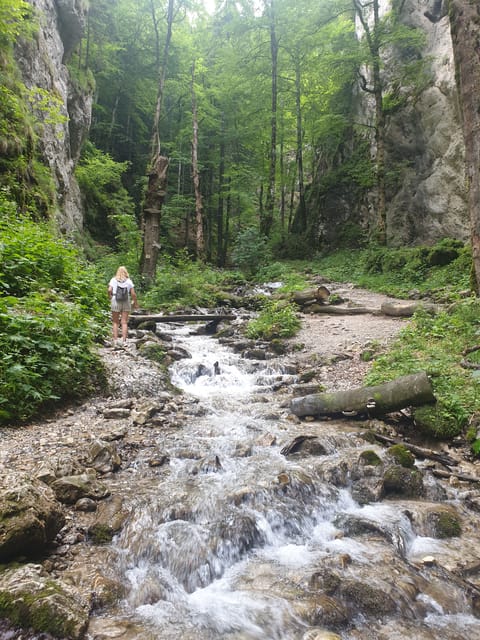 From Brasov: Hiking in Piatra Craiului National Park - Booking Information